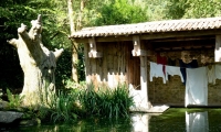 Puy du Fou - La Fontaine (07)