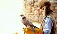 Puy du Fou - Le bal des oiseaux fantomes (061)