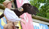 Puy du Fou - Le bal des oiseaux fantomes (071)