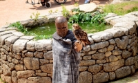 Puy du Fou - Le bal des oiseaux fantomes (085)