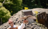 Puy du Fou - Le bal des oiseaux fantomes (089)