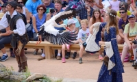 Puy du Fou - Le bal des oiseaux fantomes (098)