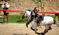 Puy du Fou - Le secret de la lance (10)