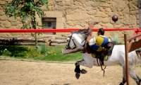 Puy du Fou - Le secret de la lance (11)