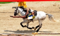 Puy du Fou - Le secret de la lance (05)