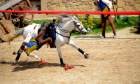 Puy du Fou - Le secret de la lance (08)