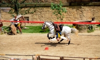 Puy du Fou - Le secret de la lance (09)