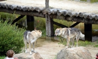 Puy du Fou - Les vikings (04)