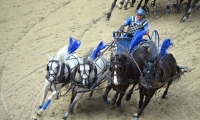 Puy du Fou - l arene (49)