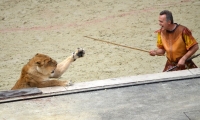 Puy du Fou - l arene (56)