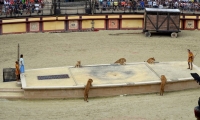 Puy du Fou - l arene (57)