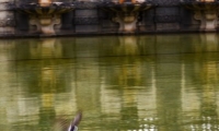 Parc de Saint Cloud (1)